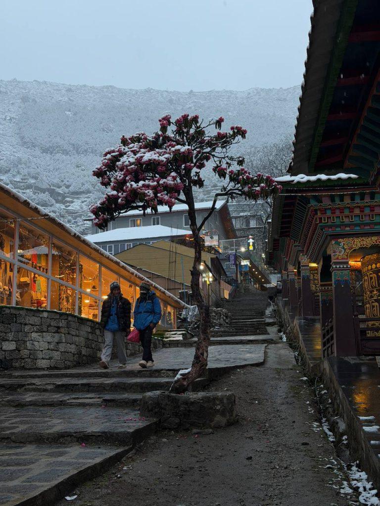 намче-базар, апрель 2026 (1)