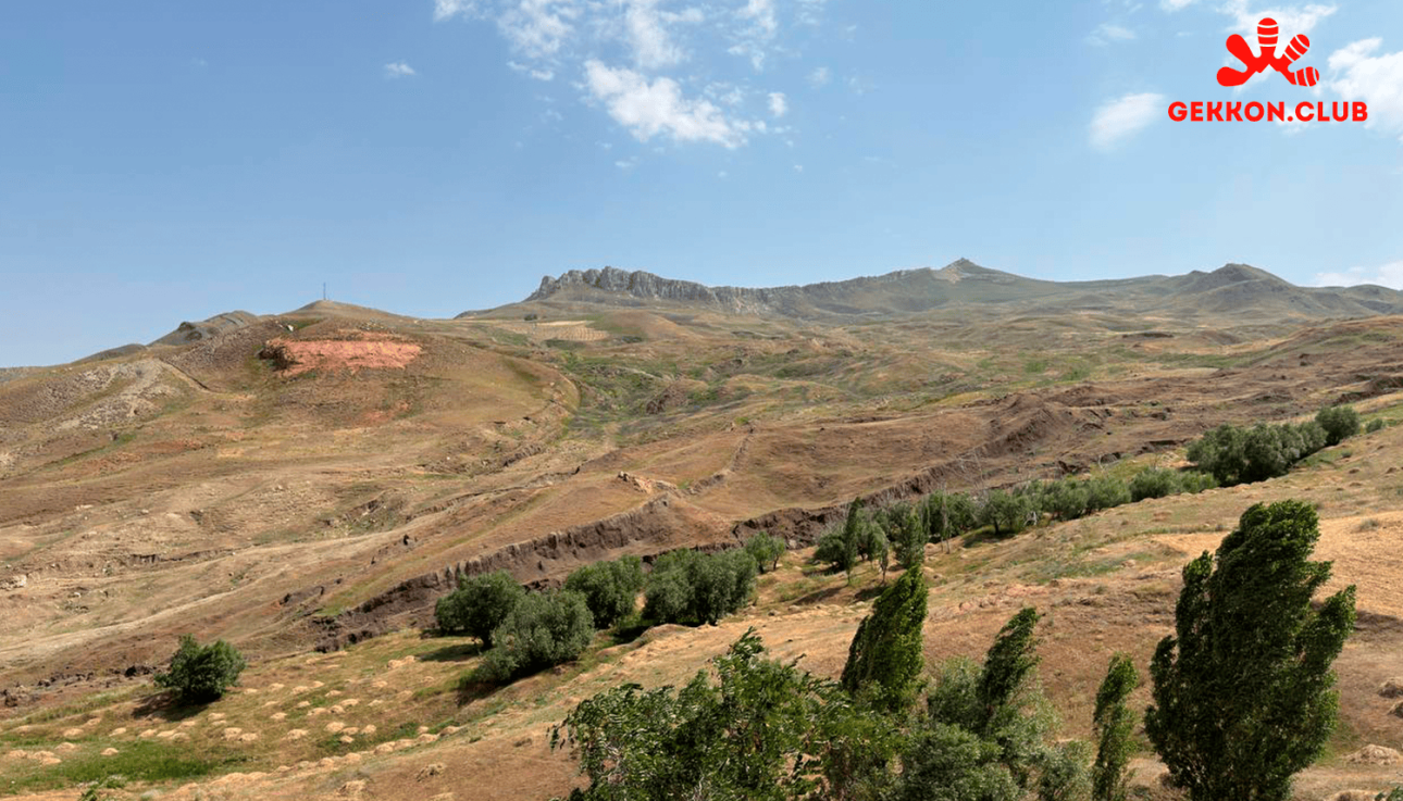 арарат, культурная программа