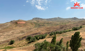 арарат, культурная программа