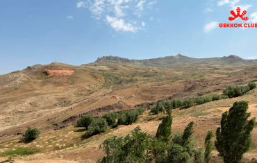 арарат, культурная программа