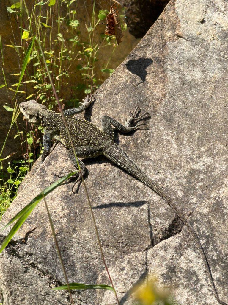Манаслу, от Джагата до Денга (5)